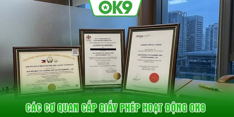Các cơ quan cấp giấy phép hoạt động OK9
