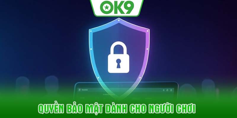 Quyền bảo mật dành cho người chơi